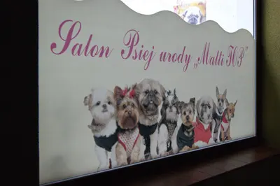 MaltiTop Salon Psiej Urody